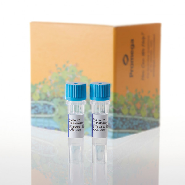 ViaFect Transfection Reagent