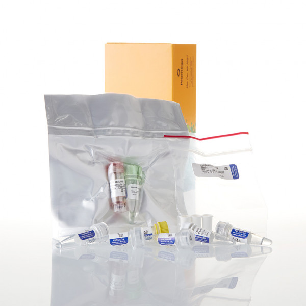 TNT SP6 Coupled Reticulocyte Lysate System, Trial Size