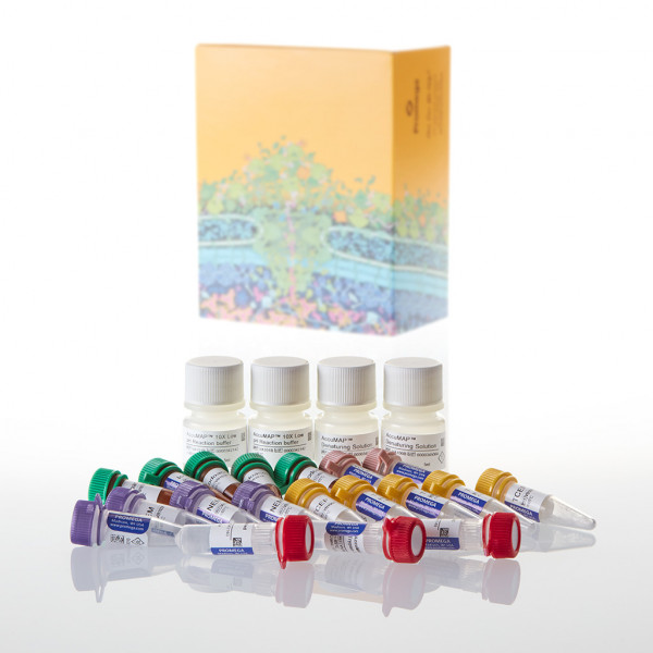 AccuMAP Low pH Protein Digestion Maxi Kit
