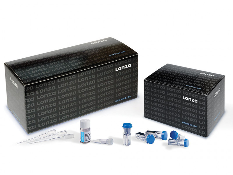 Cell Line Nucleofector® Kit L
