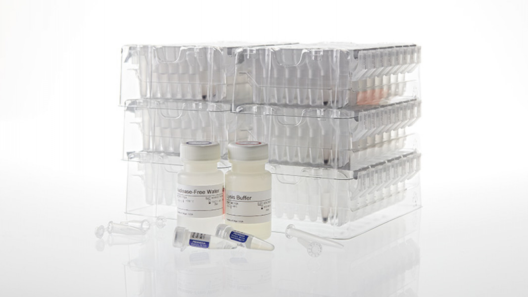 Maxwell CSC Viral Total Nucleic Acid Purification Kit