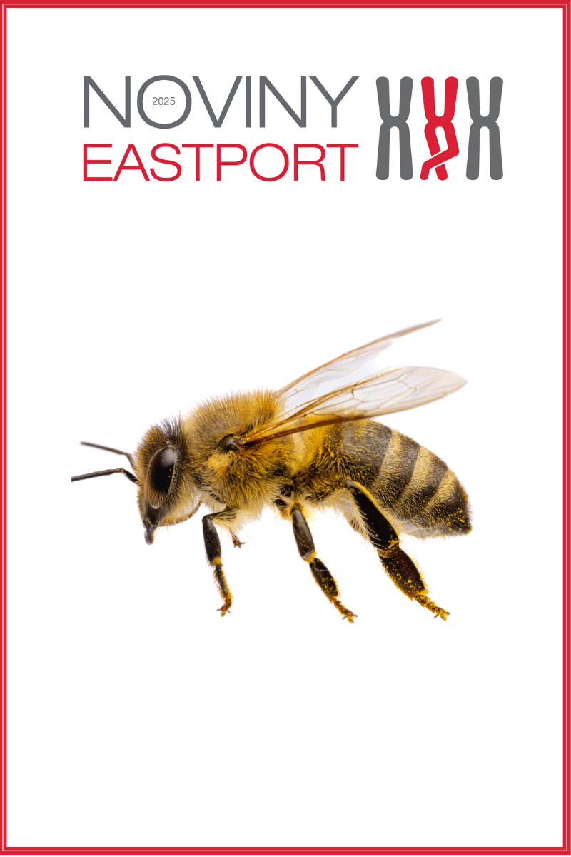 Noviny East Port Úvod.png