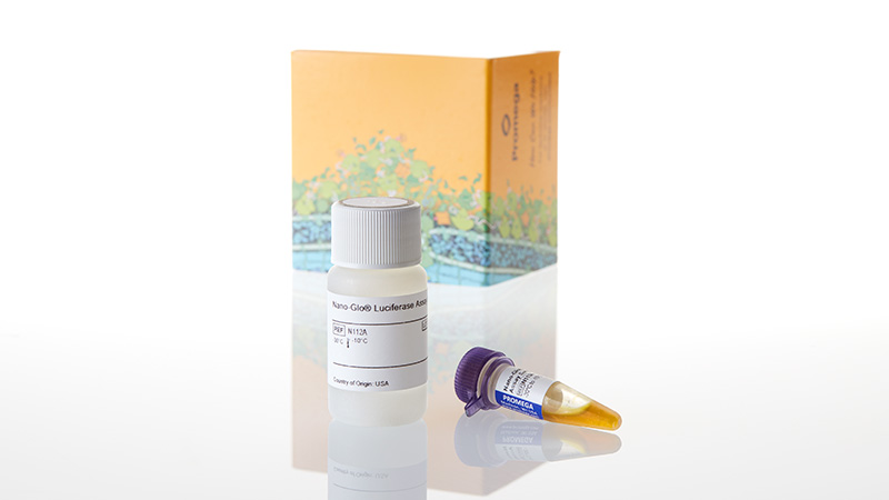n1110_nano-glo--luciferase-assay--10ml_3.jpg