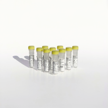 oligo.png