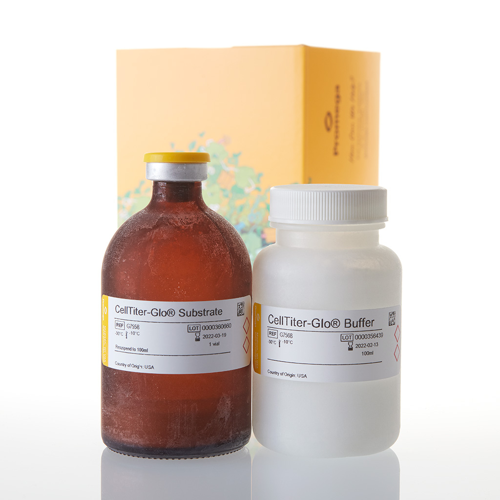CellTiterGlo Luminescent Cell Viability Assay G7572 East Port Praha