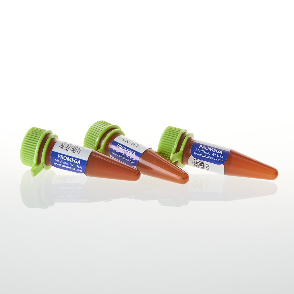 Janelia Fluor® 549 HalaTag® Ligand GA1111 East Port Praha