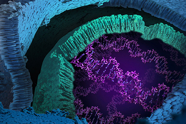 Seminář: Beyond monolayers: Promega's 3D Cell Culture and Assay Solutions (Praha, Brno)