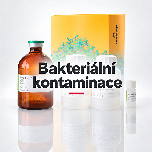 Bakteriální kontaminace-6.png