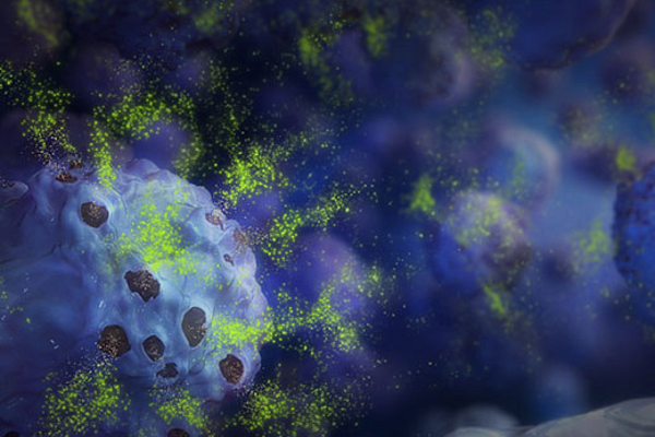 Buněčné eseje.png