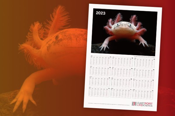 Kalendáře na rok 2023 zdarma pro všechny zákazníky