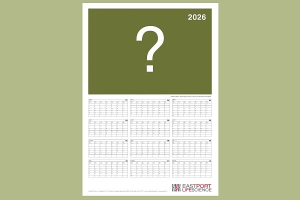 Kalendáře na rok 2026 - poznáte správný druhový název kudlanky?