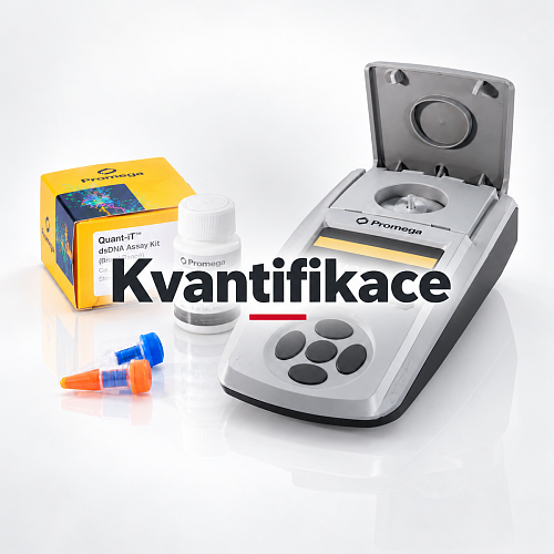 Kvantifikace-7.png