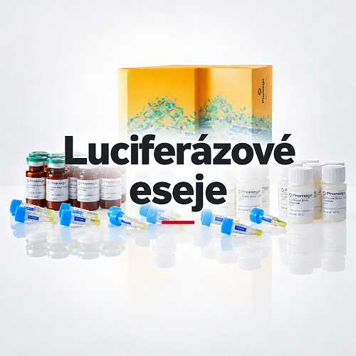 Luciferázové eseje v čistém bílém designu-3.png