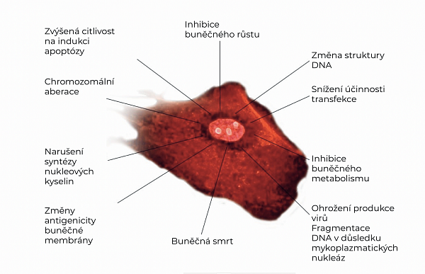 Nebezpečí - Mykoplazma.png