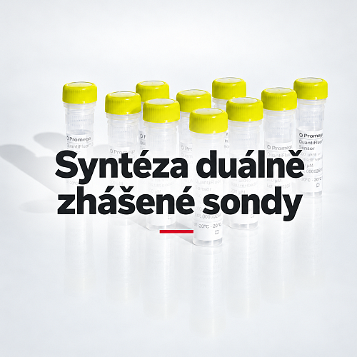 Syntéza duálně zhášené sondy-9.png