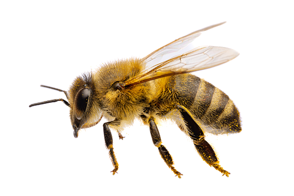 East Port Noviny 2025 – Novinky, zajímavosti a 25 let East Port Praha