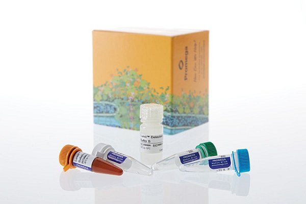 ELISA a Western blot, fungující evergreen nebo přežitek? Existují účinnější alternativy?