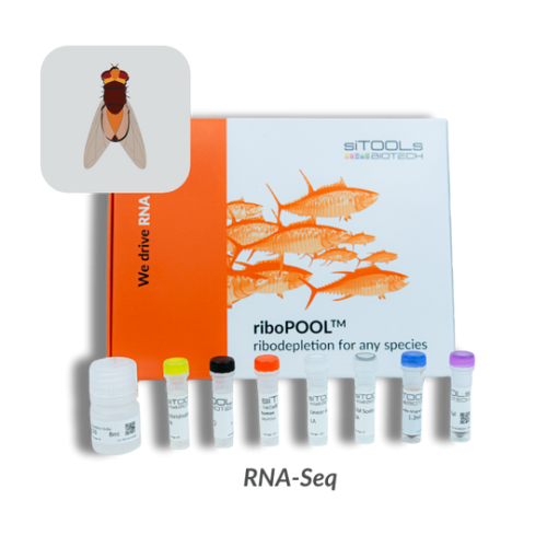 Drosophila melanogaster 24 rxn riboPOOL kit