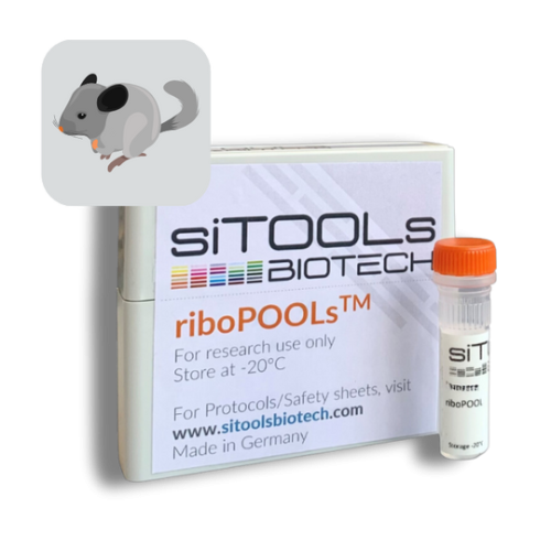 Chinchilla lanigera 12 rxn riboPOOL Probes