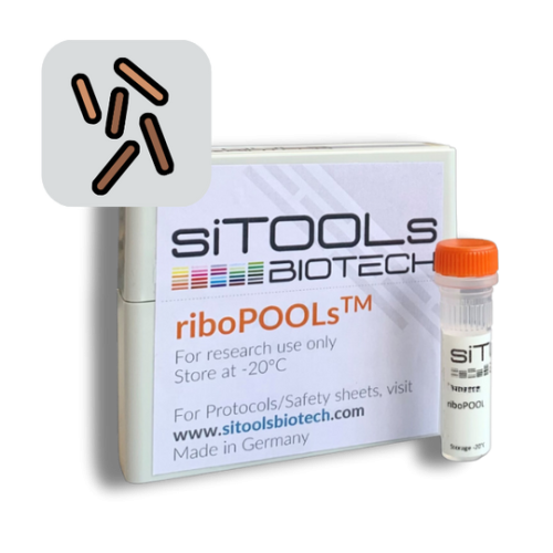 Haloferax volcanii 24 rxn riboPOOL Probes