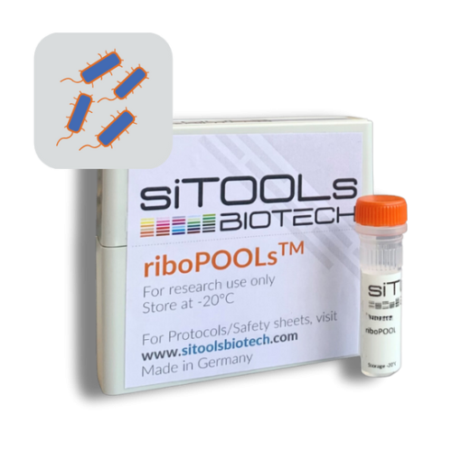 Pseudomonas aeruginosa 12 rxn riboPOOL Probes