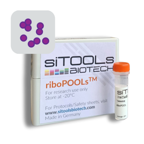 Staphylococcus aureus 24 rxn riboPOOL Probes