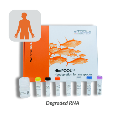 Human degraded RNA 96 rxn riboPOOL kit