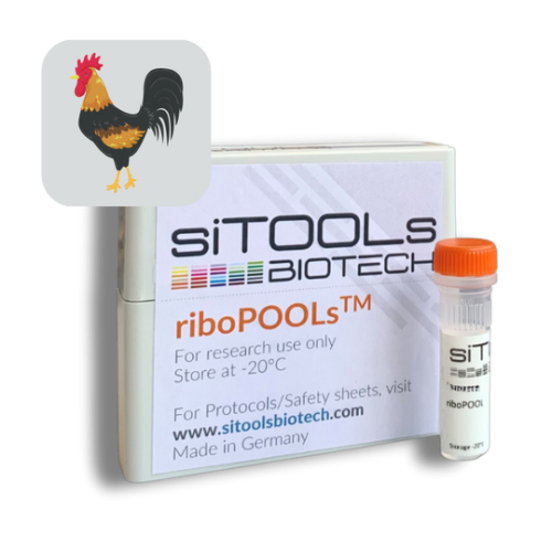 Gallus gallus domesticus 12 rxn riboPOOL Probes