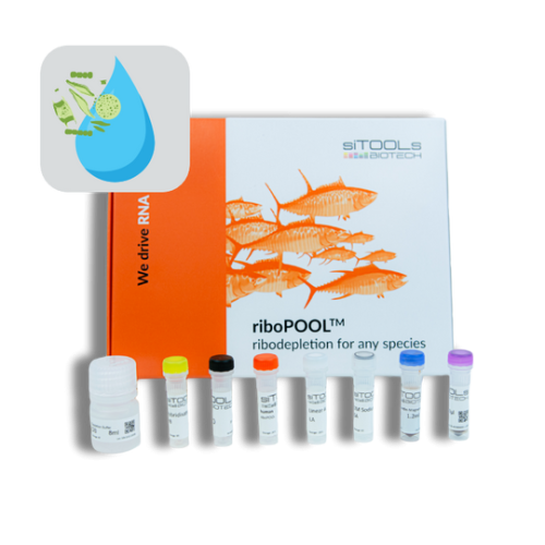 Seawater 12rxn riboPOOL kit