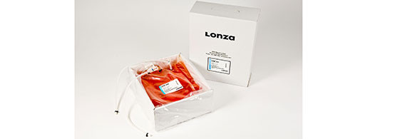 .2 L Platinum UltraPak Empty Bag