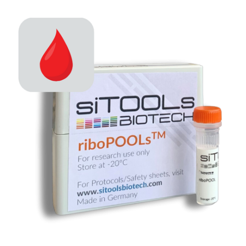 Human Blood 12 rxn riboPOOL Probes