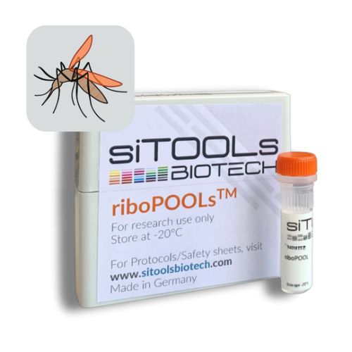 Anopheles gambiae 24 rxn riboPOOL Probes