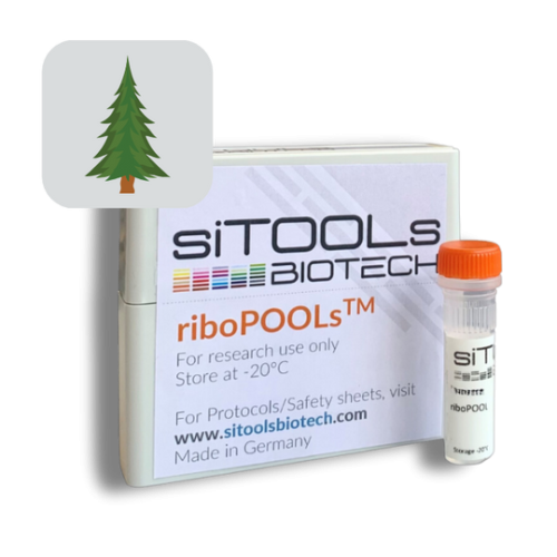 Pinus sylvestris 96 rxn riboPOOL Probes