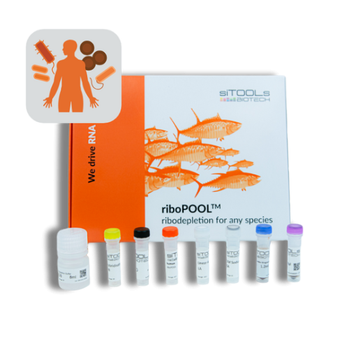 Human + Bacteria (20:1) 96 rxn riboPOOL kit