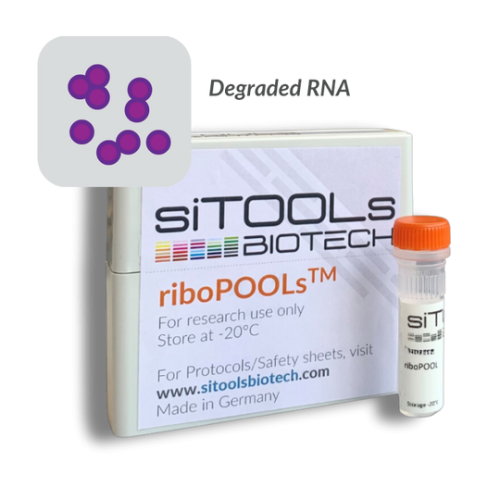 Staphylococcus aureus degraded RNA 12 rxn riboPOOL probes