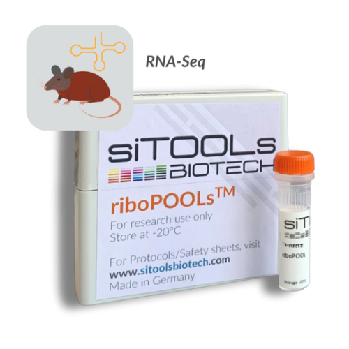 Mouse tRNAs 24 rxn riboPOOL probes