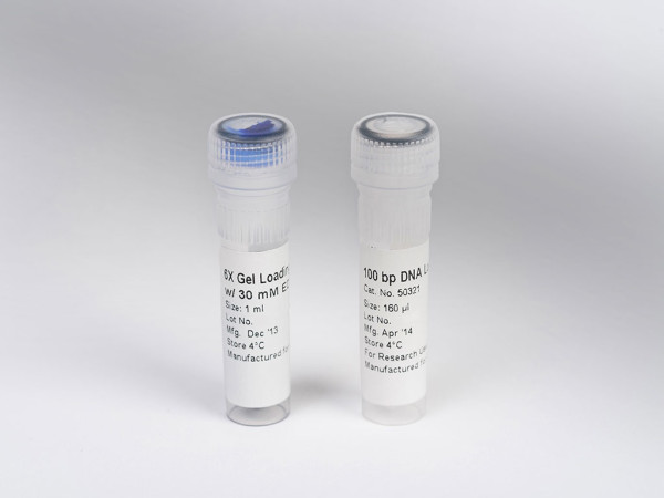 Lonza DNA QuantLadder