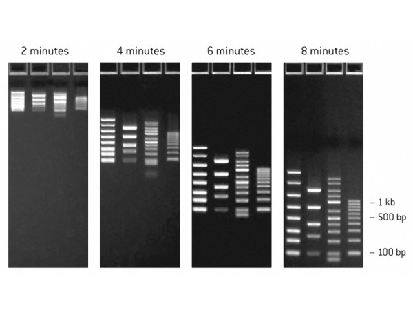 FlashGel RNA Marker 0.5 kb - 9 kb