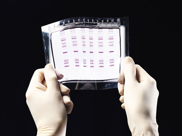 GelBond Film - 110mm x 1 25mm x 100shts