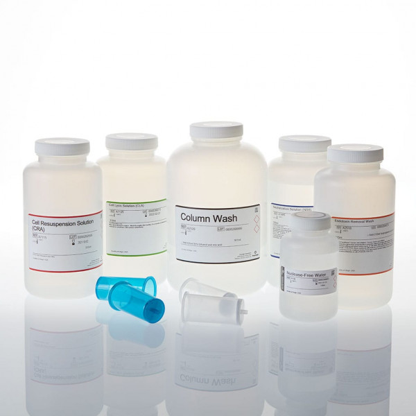 PureYield Plasmid Midiprep System