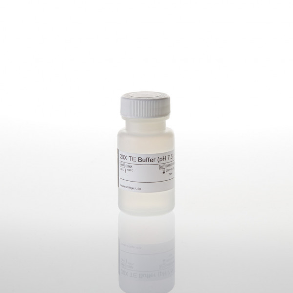 20X TE Buffer (pH 7.5)