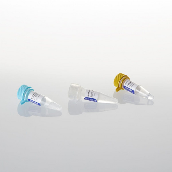 GoScript Reverse Transcription Mix, Random Primers