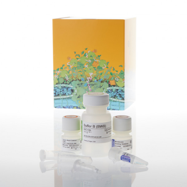 ReliaPrep™ DNA Cleanup/Concentration Kit