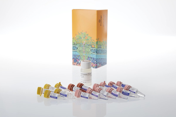 GoTaq Endure RT-qPCR System