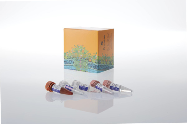 GoTaq Endure qPCR Direct Amp Bundle