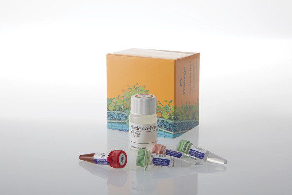GoTaq Legionella pneumophila qPCR Kit