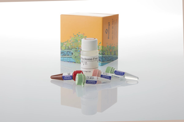 GoTaq Legionella spp/pneumophila/SG1 qPCR Kit