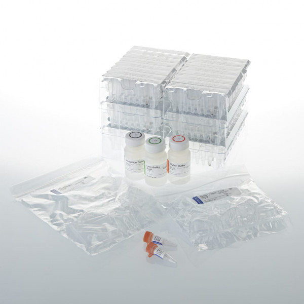 Maxwell 16 FFPE Tissue LEV DNA Purification Kit