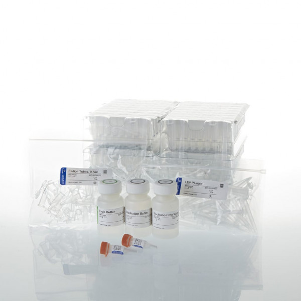 Maxwell 16 FFPE Plus LEV DNA Purification Kit