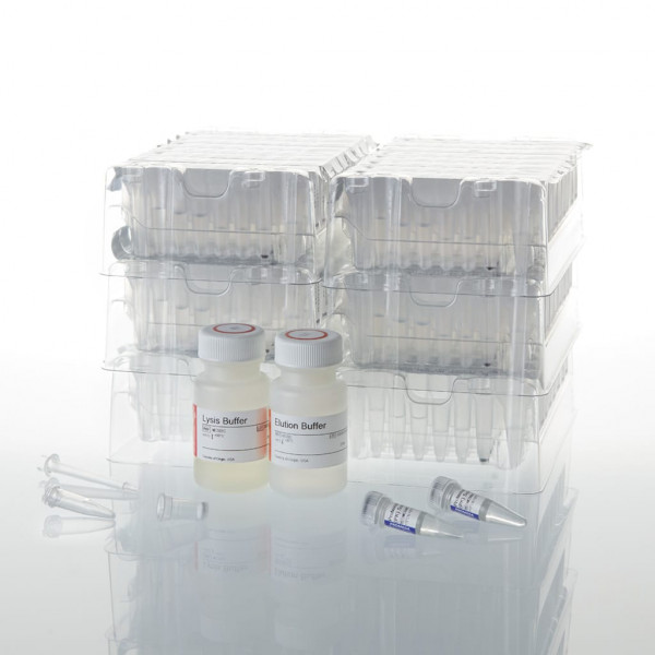 Maxwell 16 Buccal Swab LEV DNA Purification Kit